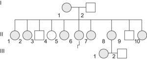 Árbol genealógico de la familia estudiada. La paciente del caso clínico es la II:6.