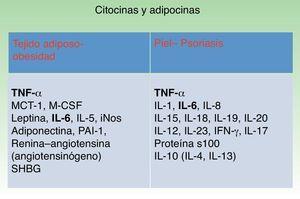 Citocinas y adipocinas. MCP-1: factor quimiotáctico de macrófagos; M-CSF: factor estimulador de colonias de macrófagos; PAI-1: inhibidor del activador del plasminógeno; SHGB: hormona transportadora de estrógenos.