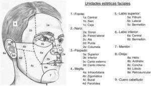 Principales unidades y subunidades estéticas faciales.