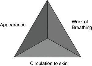 Pediatric Assessment Triangle.