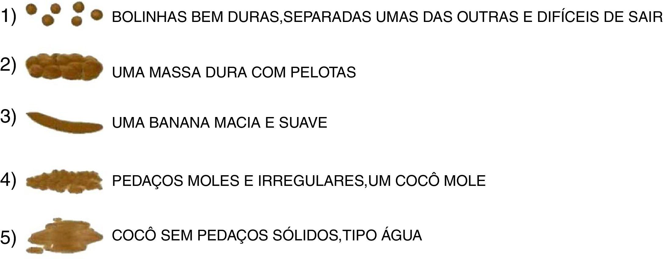 PDF) Tradução e adaptação cultural do Modified-University of