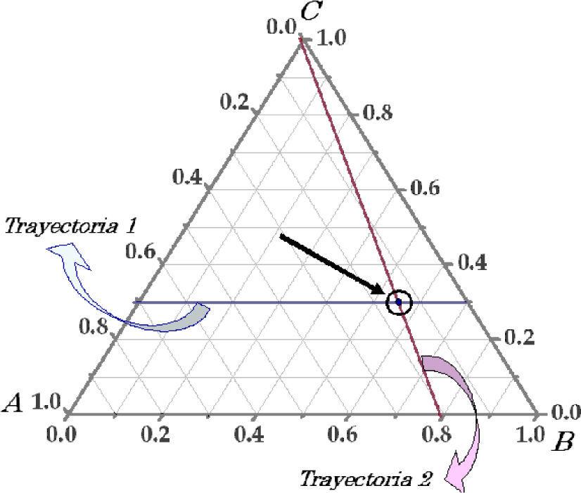 Trayectorias en diagramas ternarios | Educación Química