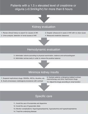 Summary of recommendations to prevent progression to acute kidney injury.