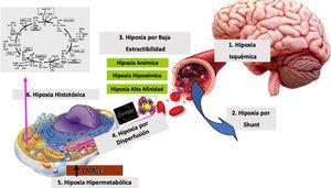 Posibles causas de hipoxia tisular. CMRO2: consumo metabólico de oxígeno; Hb: hemoglobina.
