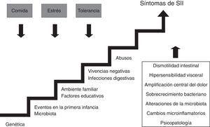 Representación esquemática de la etiopatogenia del síndrome del intestino irritable.