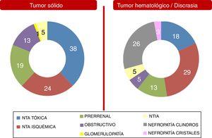 Etiología del daño renal agudo (%).