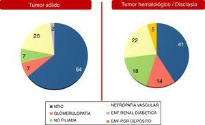 Etiología de la enfermedad renal crónica (%).