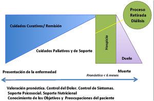 Marco conceptual de la consulta de cuidados paliativos (CP).