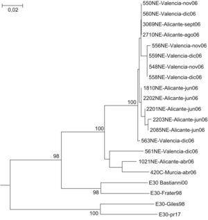 Árbol filogenético de la región VP1 de las cepas de enterovirus detectadas.