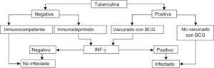 Algoritmo de utilización conjunta de la prueba de tuberculina (PT) y las técnicas de determinación del interferón gamma (IGRA) para el diagnóstico de la infección tuberculosa14. BCG: Bacilo de Calmette-Guérin.