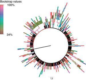 Valores de bootstrap (de 0 a 100%) de los diferentes clusters de transmisión del árbol filogenético consenso.