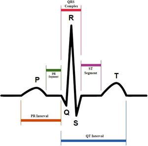 P, QRS, T waves, PR interval, and QT interval on ECG signals.