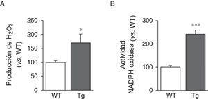 La LOX es una fuente de estrés oxidativo vascular. Nivel de H2O2 (A) y actividad NADPH oxidasa (B) evaluados en la aorta de ratones control (WT) y transgénicos para la LOX (Tg). Los resultados se expresan como media ±SEM (n=4-10; *: p<0,05 vs. WT).