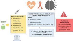 Recomendaciones básicas para el informe de perfil lipídico en laboratorios clínicos españoles.