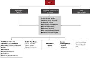 Consequences of obstructive sleep apnea (OSA) and associated pathophysiological mechanisms. Adapted and reproduced with permission from the SEPAR Manual of Pulmonology and Thoracic Surgery.