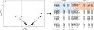 Differential miRNA expression in never-smoking COPD patients exposed to biomass smoke versus cigarette smoking COPD patients. (A) Volcano plot showing the differential miRNA expression (in fold change on x-axis) and significance level (−log10-FDR value on y-axis). To exclude poorly detectable miRNAs, data was pre-processed so that total counts per million (CPM) mapped reads for each miRNA in all samples pertaining to the comparison subset was>10. After that, the filtered data were normalized using the trimmed mean of M-values (TMM) normalization method in EdgeR. Of the 2609 miRNAs analyzed, 1460 were discarded because they were poorly detectable according to the quality criteria.