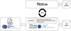 The custom-built DQA tool (based on the NAIHA medical device) that facilitated real-time communication using an application programming interface (API) with the study's electronic case report form (REDCap).