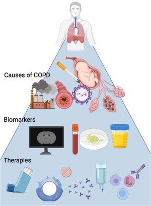 COPD subtypes, biomarkers, and pharmacotherapy.