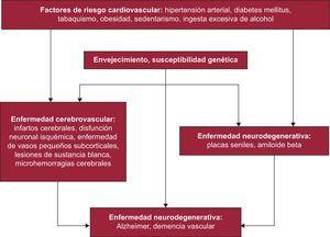 Relación entre la enfermedad cardiovascular y la enfermedad neurodegenerativa.