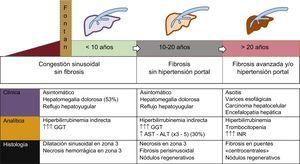 Historia natural de la enfermedad hepática relacionada con la cirugía de Fontan. La secuencia temporal es orientativa, ya que la cronología depende de la evolución de la cardiopatía. Las arritmias o la disfunción ventricular pueden acelerar la evolución. ALT: alanina transaminasa; AST: aspartato aminotransferasa; GGT: gamma-glutamil transpeptidasa. Esta figura se muestra a todo color solo en la versión electrónica del artículo.