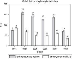 Time courses for the production of endoglucanase and endoxylanase activities by M. phaseolina isolates from different regions in Argentina, in minimum salt medium supplemented with carboxymethylcellulose (for cellulases) or xylan (for xylanases) as carbon sources and glutamic acid as nitrogen source. The numbers over the bars indicate the day when the highest value was obtained. Values represent the mean of three replicates and SEM.