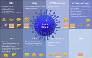 Manifestations of herpesvirus infections associated with COVID-19. VHS-1, Herpes Simplex Virus Type-1; VHS-2, Herpes Simplex Virus Type-2; VVZ, Varicella-Zoster Virus; EBV, Epstein-Barr Virus; CMV, Cytomegalovirus; HHV-6, Herpes Virus-6; HHV-7, Herpes Virus-7; HHV8, Herpes Virus-8.