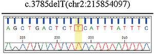 Sequence analysis performed in this case identified a novel pathogenic ABCA12 gene mutation ‒ ABCA12:c.3785delT and the mutations is a frameshift and deletion mutation, which lead to premature termination codons.