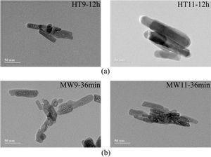 TEM micrographs of samples prepared by (a) HT and (b) MW.