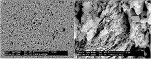 SEM of standard mix Ko without porogen fired at 1330°C processed by slip casting showing segregation of the components as oriented clay sheets giving mullite.