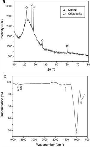 XRD patterns (a) and infrared spectrum (b) of EP.