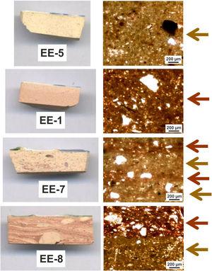 Photographs on sections (left) and micrographs of thin-sections, plain light (right). Colored arrows on the right indicate probable mixing of clay raw materials.