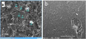 SEM image of treated glass at 480°C for 2h eroded by: (a) alumina, (b) sand.