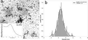 (a) TEM Au nanoparticles and (b) AuNPs size distribution.