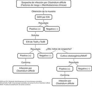 Algoritmo diagnóstico para la confirmación de la infección por Clostridium difficile. Adaptado de Meyer et al.21.