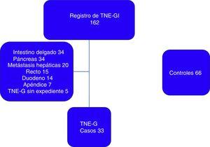 Pacientes incluidos en el estudio. TNE-G: tumores neuroendocrinos gástricos; TNE-GI: tumores neuroendocrinos gastrointestinales.