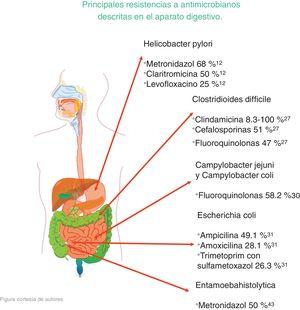 Principales resistencias a antimicrobianos descritas en el aparato digestivo. La figura muestra el porcentaje de resistencia reportada a cada antibiótico de cada microorganismo del aparato digestivo.