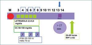 Esquema de estimulación combinado
