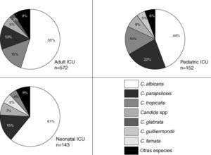 Distribution of isolates of Candida species in bloodstream in different types of ICUs between 2001 and 2007. Candida spp: Candida species not identified by the microbiology laboratories.
