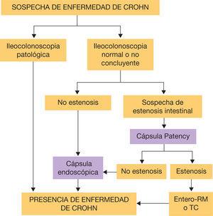 Algoritmo diagnóstico de la cápsula endoscópica en la sospecha de enfermedad de Crohn.