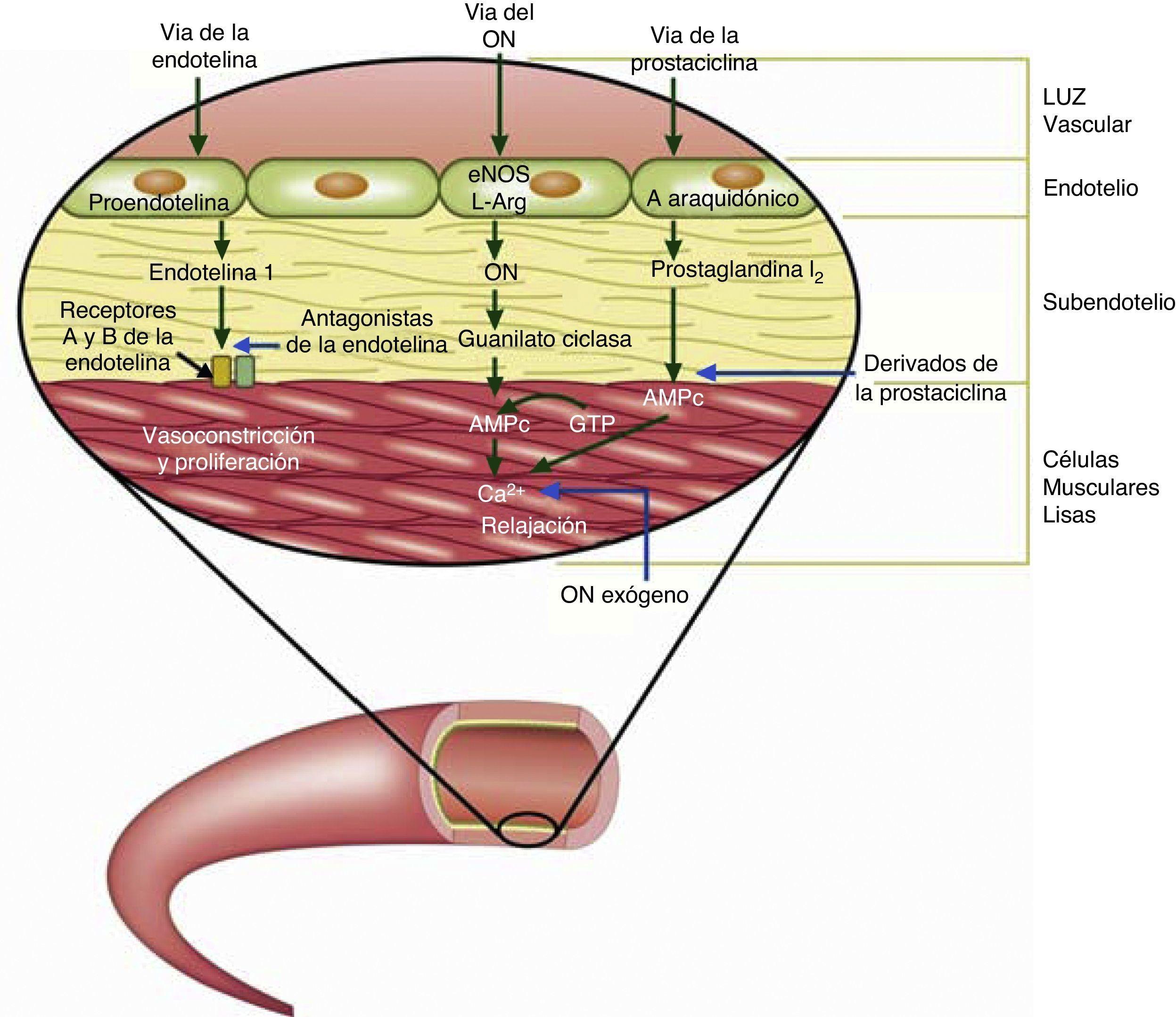 Sildenafil Citrate 130 Mg
