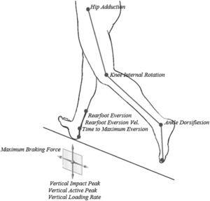 The biomechanical variables used in the meta-analysis.