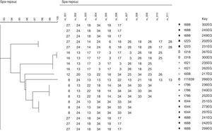 Phylogenetic similarity of MRSA isolates from Egyptian outpatients. A Neighbor-joining tree was constructed using spa gene sequences. The sequences analyzed using the BioNumerics software version 7.1 (APPLIED MATHS, Austin, USA), EG; Egyptian isolates.