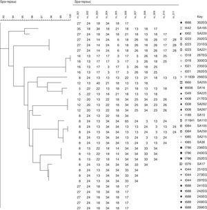 Phylogenetic similarity of MRSA isolates from Egyptian (EG) and Saudi Arabian (SA) outpatients. A Neighbor-joining tree was constructed using spa gene sequences. The sequences analyzed using the BioNumerics software version 7.1 (APPLIED MATHS, Austin, USA).