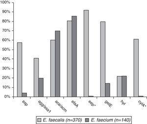 Comparative frequency of virulence genes in E. faecalis and E. faecium isolates. *Genes found only in E. faecalis.