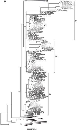(A) Phylogenetic trees of the sequences identified in this study, classified as genotype D: Subgenotype D3. (B) Subgenotypes D1, D2 and D4. Only sequences belonging to these subgenotypes where shown individually, all the other ones were collapsed. The analysis was conducted using a Bayesian analysis using BEAST v1.8.3 software with 296 sequences (GenBank 197 and 99 of this study) of 1270 nucleotides of S/polymerase in the HBV genome. Probability posterior values are shown in the branches. The sequences characterized in this study are marked with the symbol # and the sequences taken from GenBank are identified by subgenotype, followed by the access number and geographical origin. Sequences from members of the same family were shown with a circle and each family is identified by F and a number (F1–6 and F8).