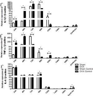 Relative gene expression of the cytokines IL-1β (A), TNF-α (B) and IL-6 (C) per time of infection in the lungs of female mice sham surgery (Sham) or ovariectomized (OVX) inoculated with the ATCC 25923 strain of S. aureus or saline (Sham Control or OVX Control) measured by qPCR. Data are expressed as mean±SD. * P<0.05; # P<0.05 vs Sham Control; + P<0.05 vs OVX Control.