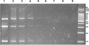Analytical sensitivity of multiplex PCR.