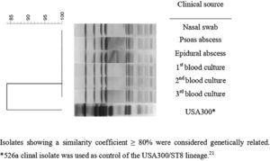 Dendrogram of PFGE patterns of S. aureus isolates according to clinical source.