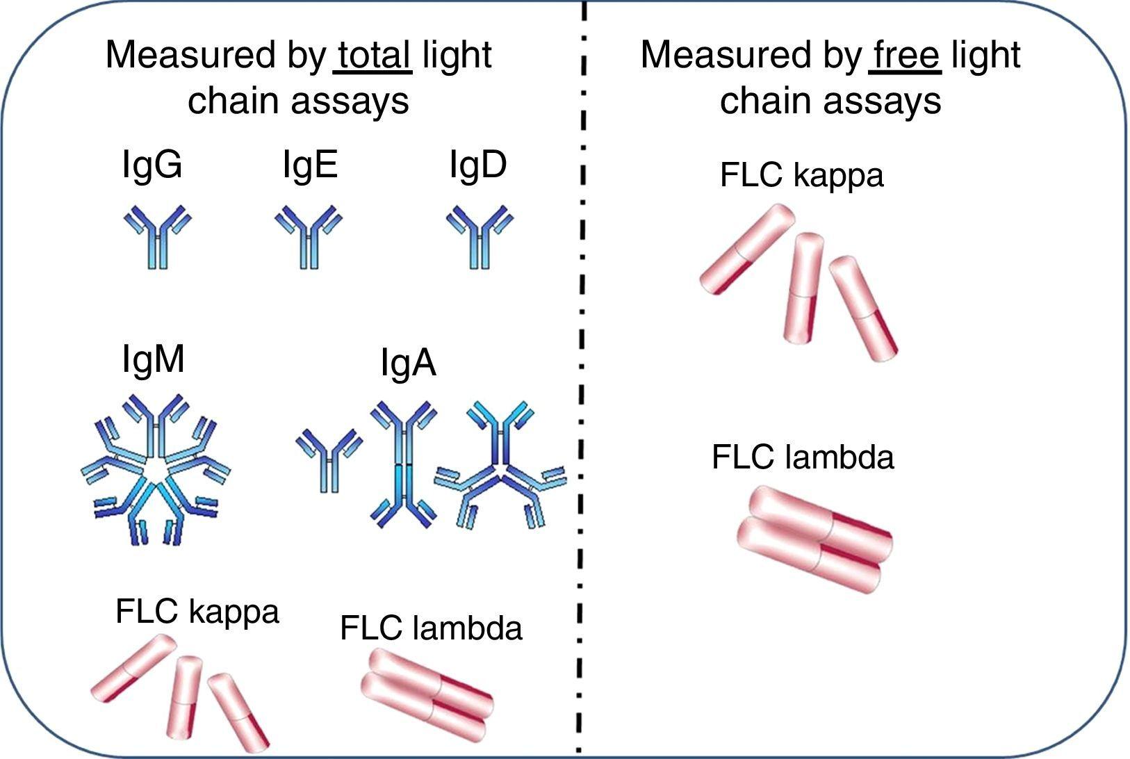 Serum free light chain assays not light chain assays are the of care to assess Monoclonal Gammopathies | Hematology, Transfusion and Cell Therapy
