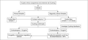 Diagnóstico diferencial del síndrome de Cushing en el embarazo.